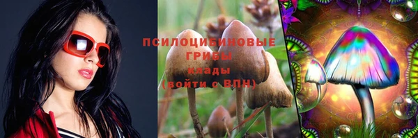 ГАЛЛЮЦИНОГЕННЫЕ ГРИБЫ Балахна
