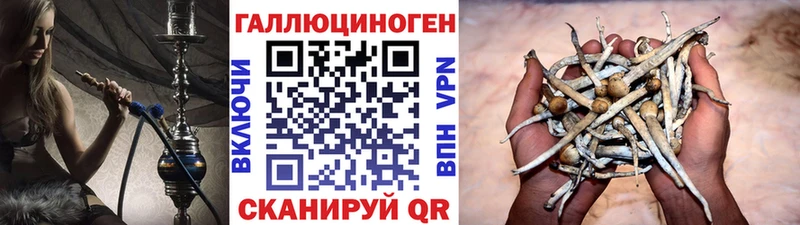 дарнет шоп  Гулькевичи  Галлюциногенные грибы Magic Shrooms 